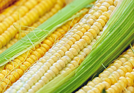 Corn