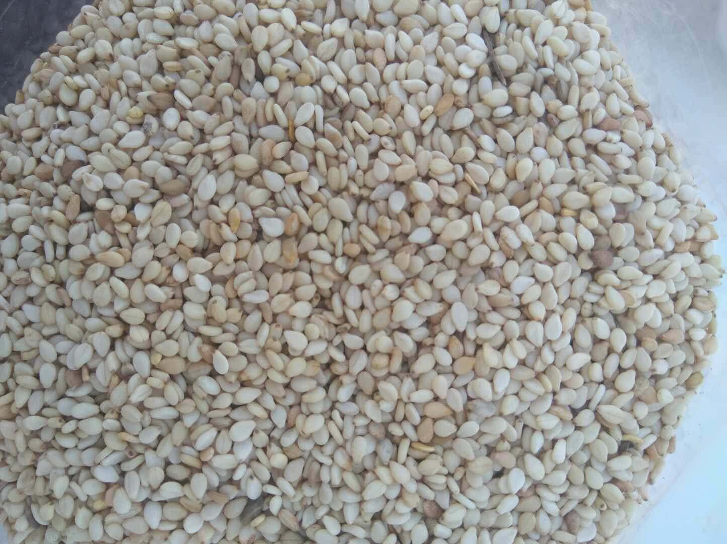 White sesame seeds